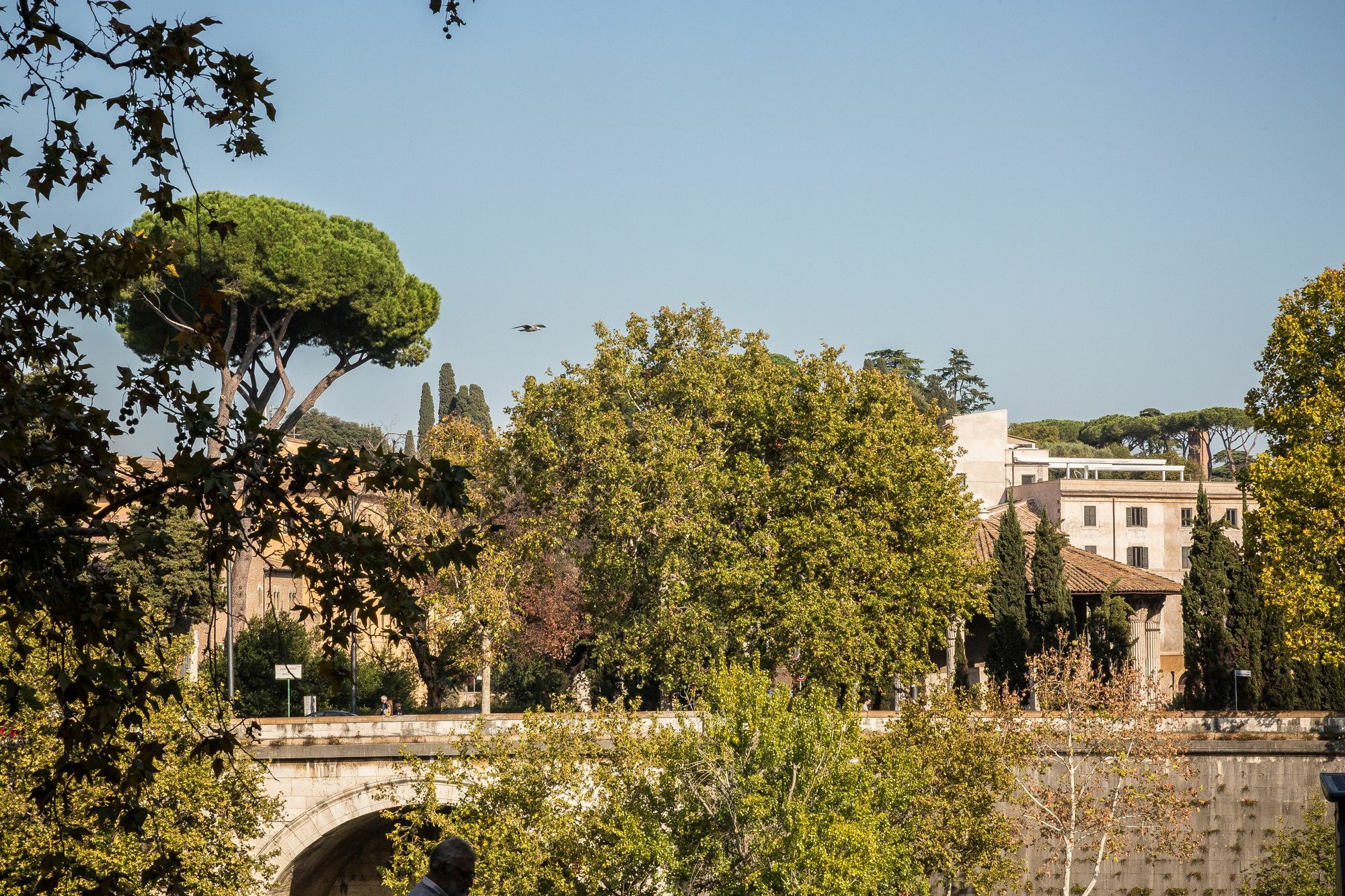 Palazzo Baj In Trastevere Affittacamere